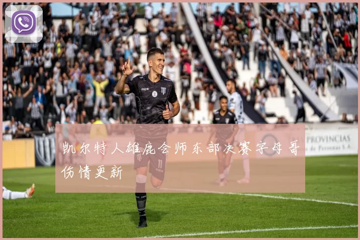 凯尔特人雄鹿会师东部决赛字母哥伤情更新