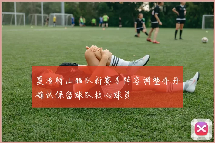 夏洛特山猫队新赛季阵容调整乔丹确认保留球队核心球员