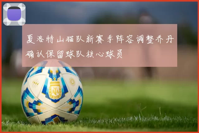 夏洛特山猫队新赛季阵容调整乔丹确认保留球队核心球员