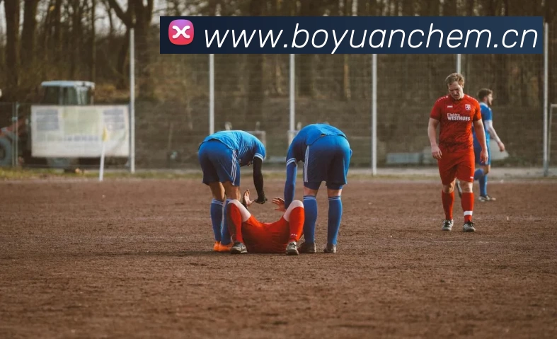 米乐(MILE) 官方网站 - 精彩无止境平台生态图